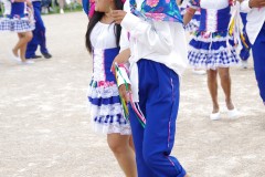 IMGP4319.JPG_compressed