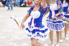 IMGP4371.JPG_compressed
