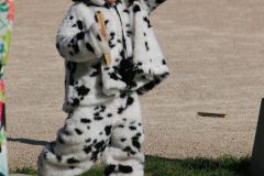 IMG_6688-scaled
